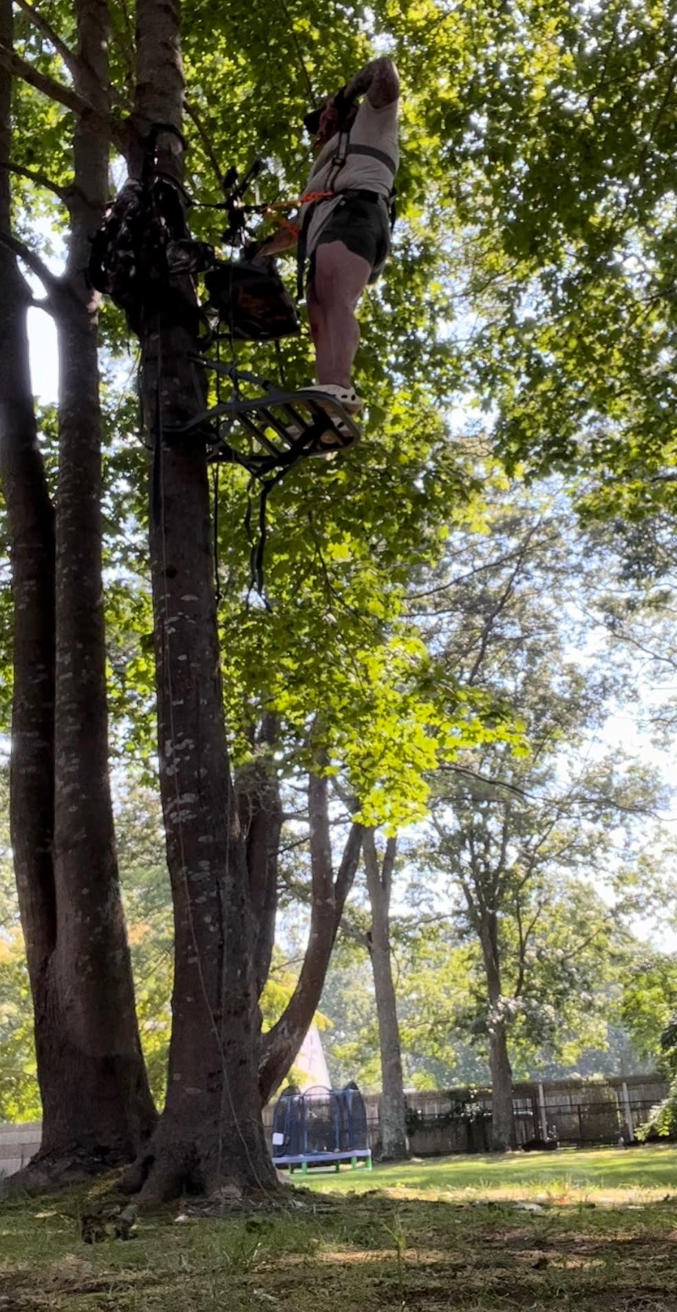 Treestand Summit Goliath SD - Spazioso e confortevole
