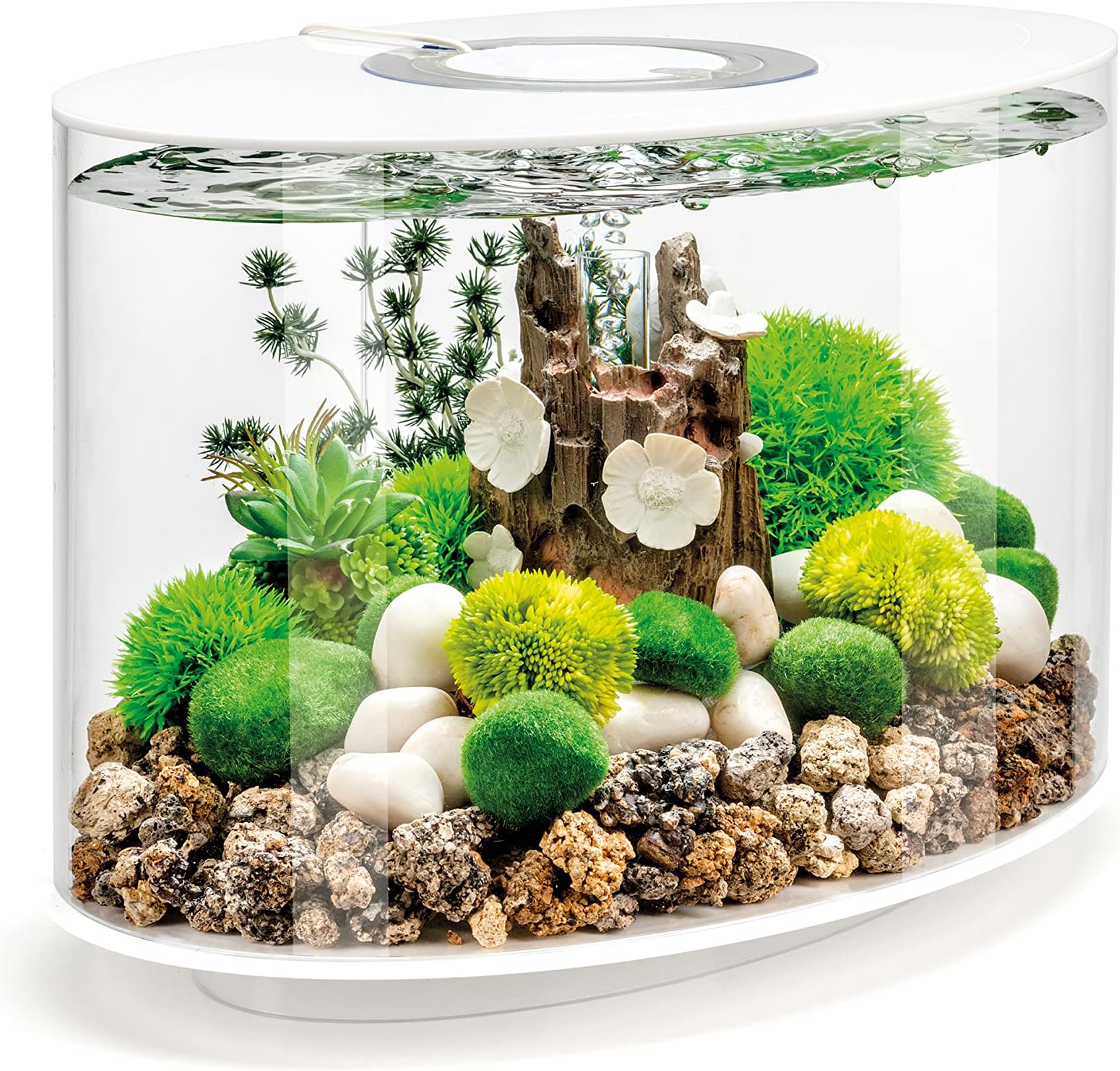 Amazon.com : Cat House&Condos Toy Fish Aquarium Tank,Creative Funny ...
