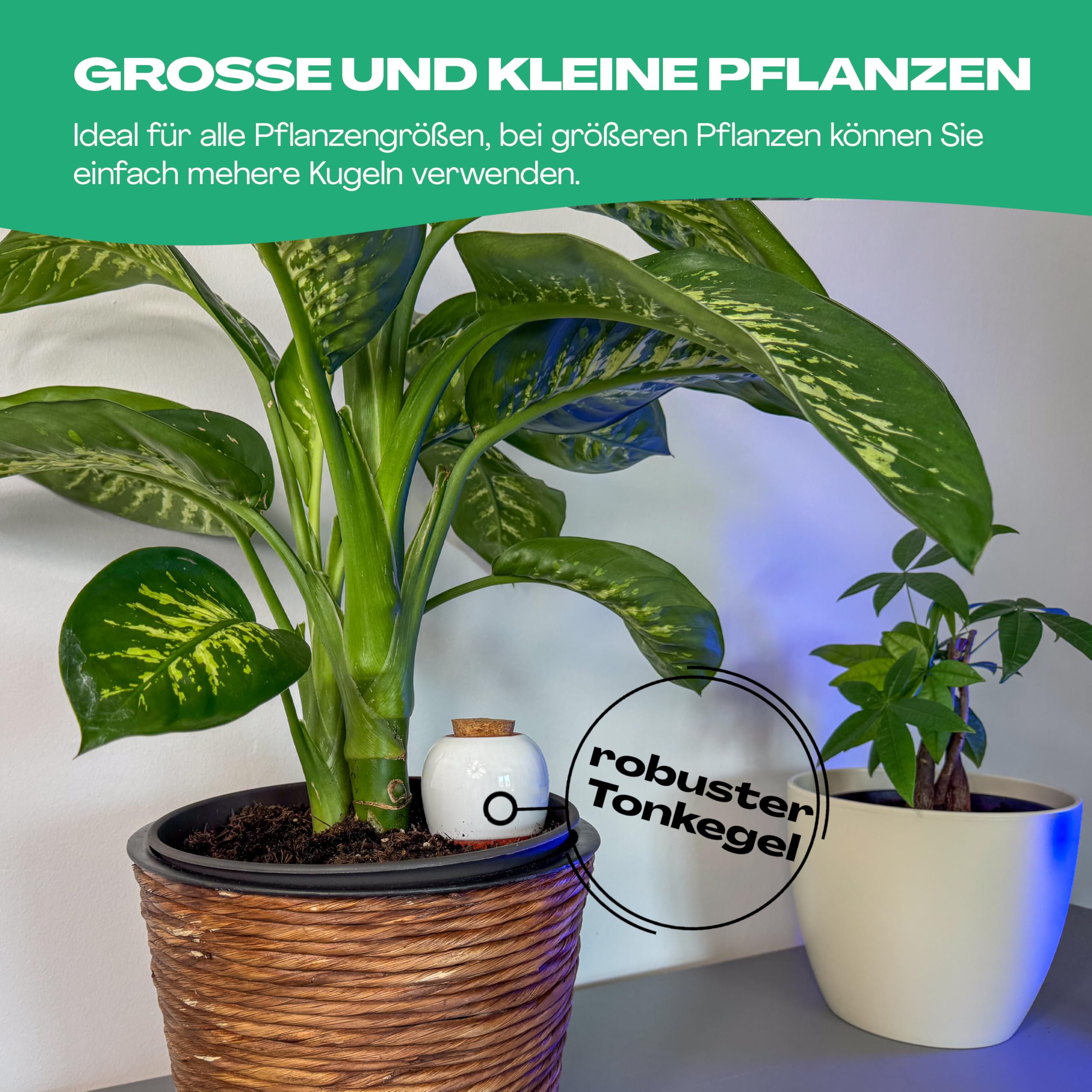 Netrox Bewässerungskegel Ton 4x Set Pflanzen Urlaub