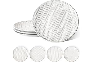 Le Tauci 10 Inch Ceramic Plates