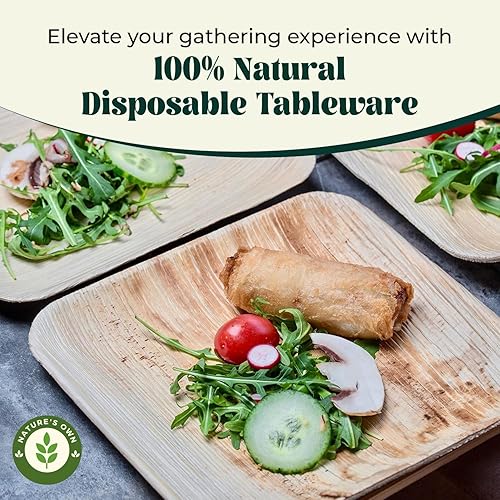 Miniatura 7 de Nature's Own Paquete de platos de hoja de palma como platos de bambú, 50 unidades (10 pulgadas), plato cuadrado desechable, compostable, ecológico y