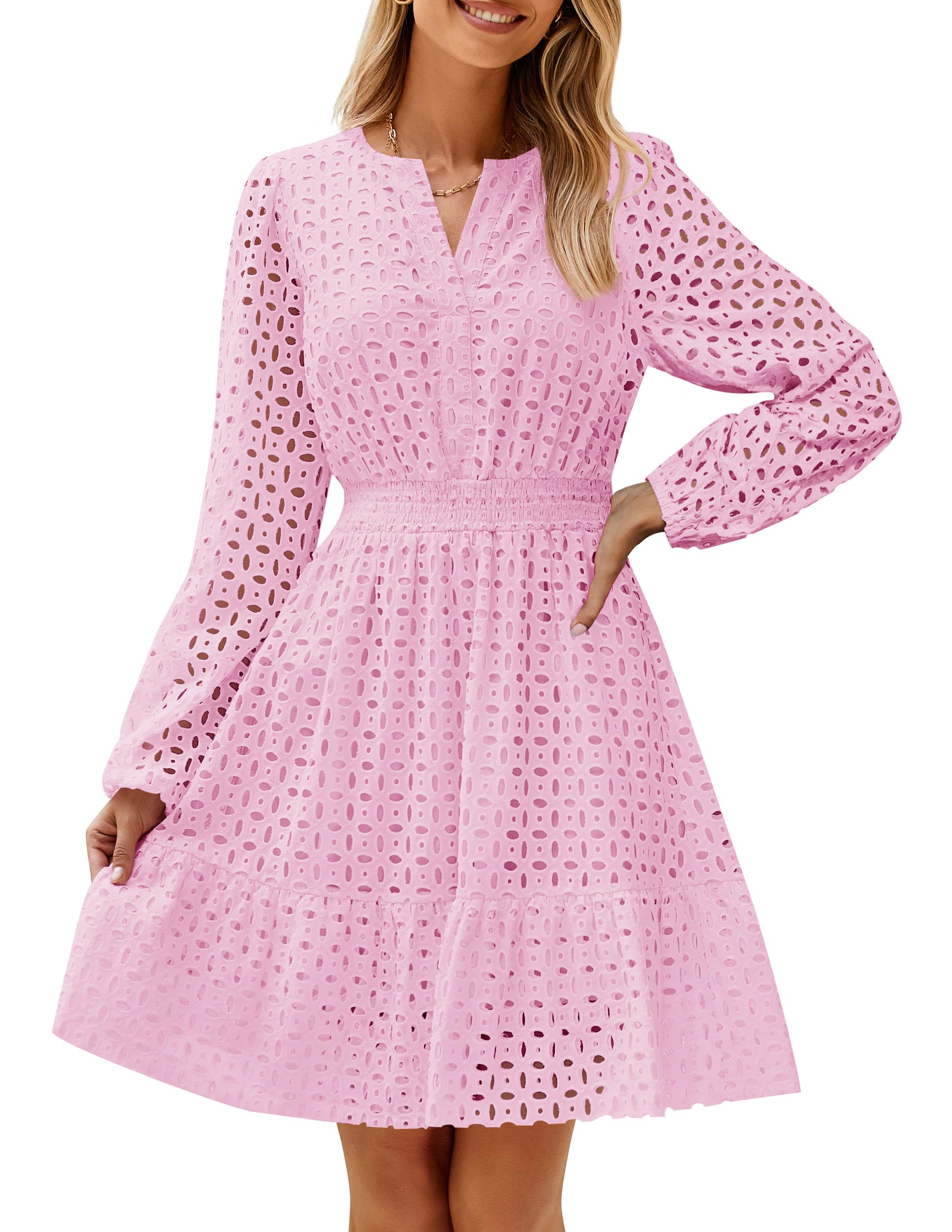 ZESICA Womens Fall Long Sleeve Eyelet Embroidery Mini Dress