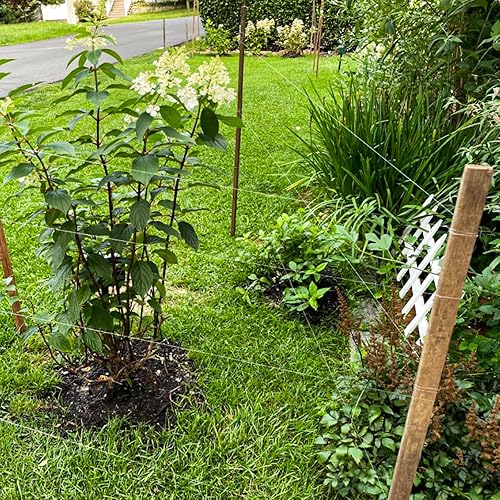 Miniatura 19 de KastKing Línea de pesca de monofilamento premium del mundo - Pista de rollo paralelo - Línea mono fuerte y resistente a la abrasión - Línea de pesca