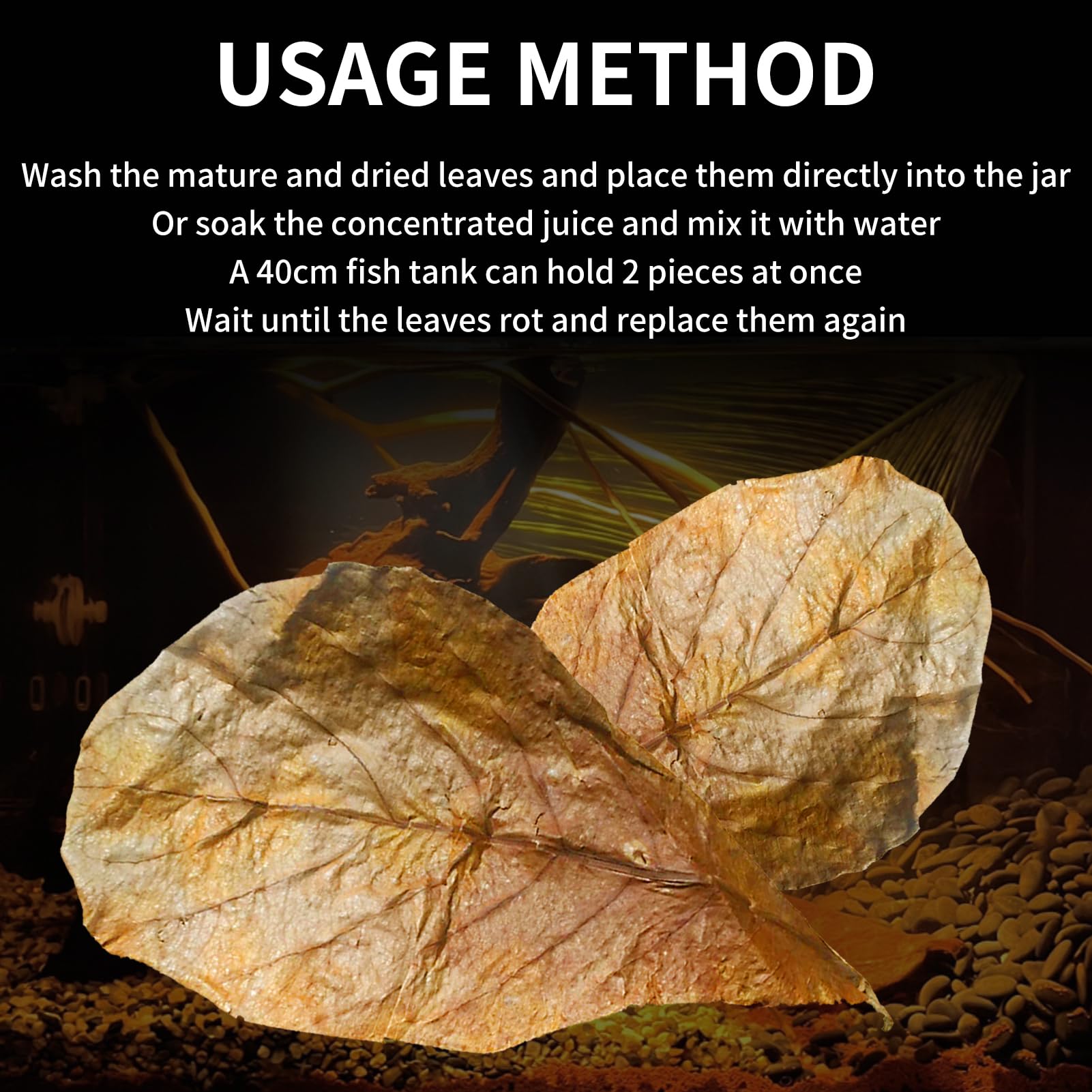10 Pack Indian Almond Leaves for Betta Fish Tank Water Treatment Catappa Leaves Reduce Stress shrimp aquarium care Lower pH for Aquarium Fish Tank Use - Image 4