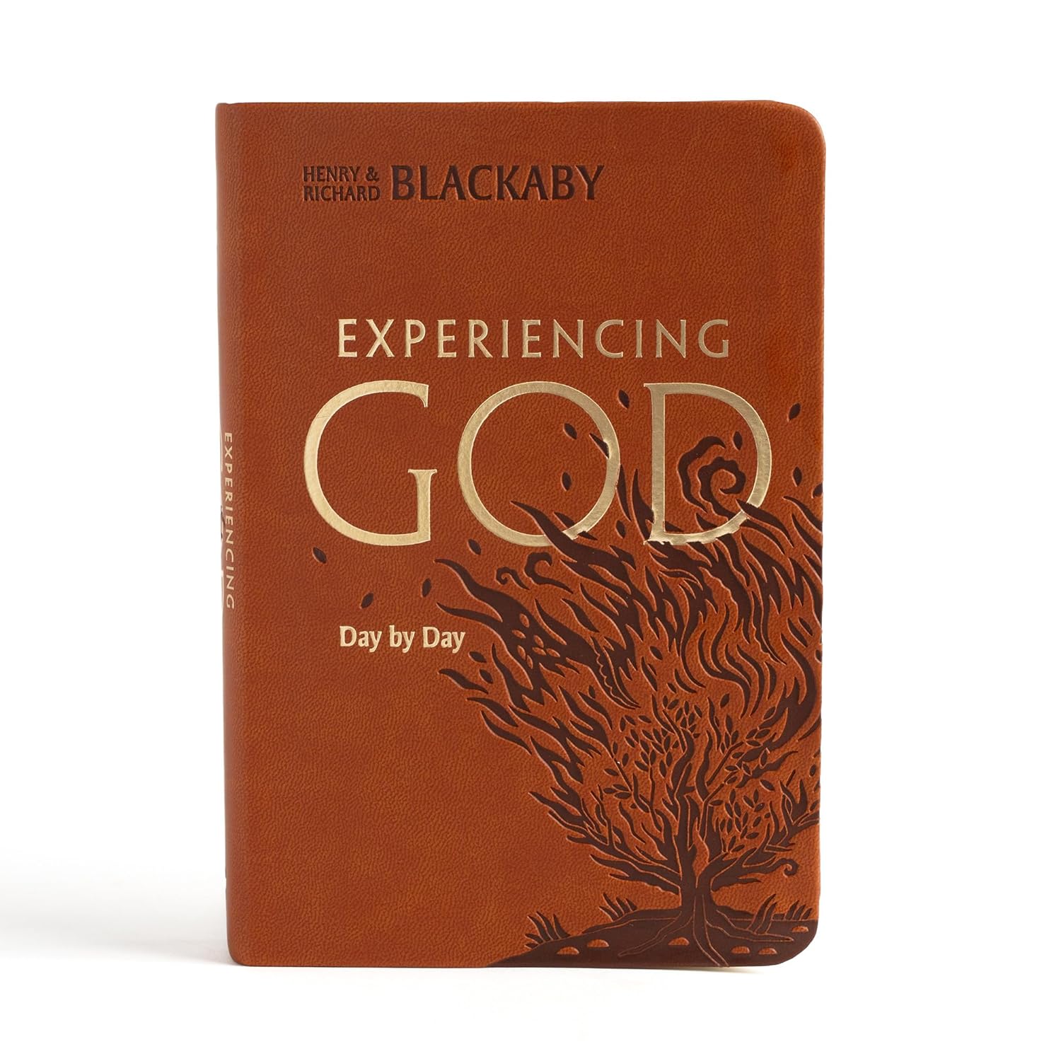 Experiencing God Day by Day: Daily Devotional - Image 8