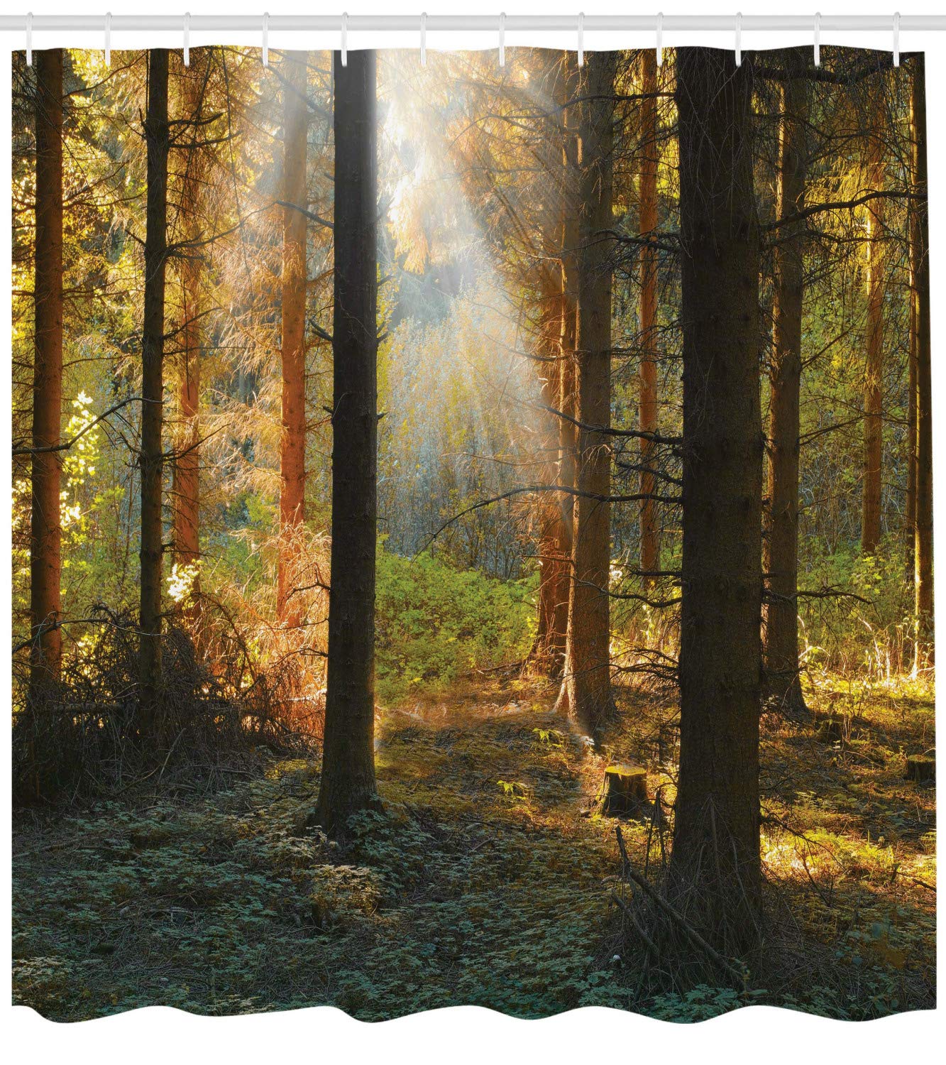 ABAKUHAUS Forest Shower Curtain, Sunset View of Dark Pine Woodland in Autumn Foggy Scene Sunbeams Trunks Shadow - Image 2