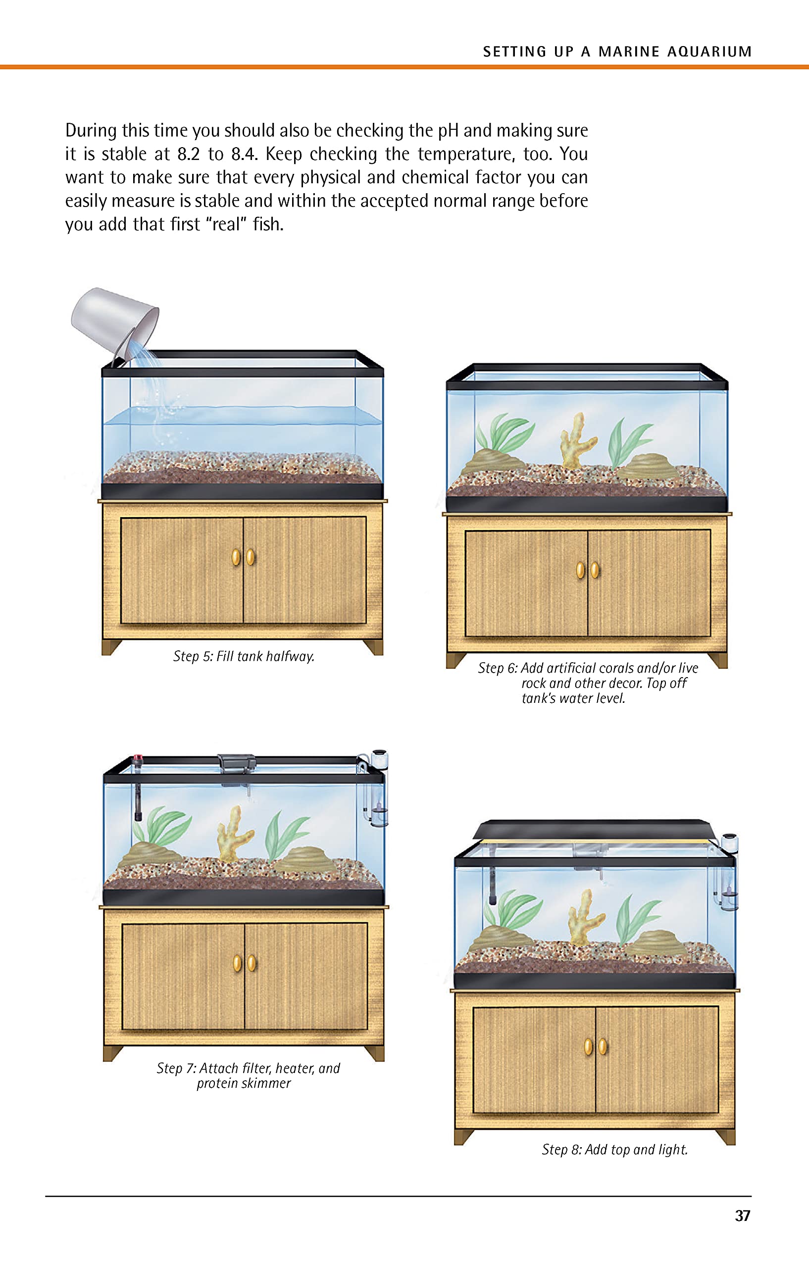 Marine Aquariums: Basic Aquarium Setup And Maintenance
