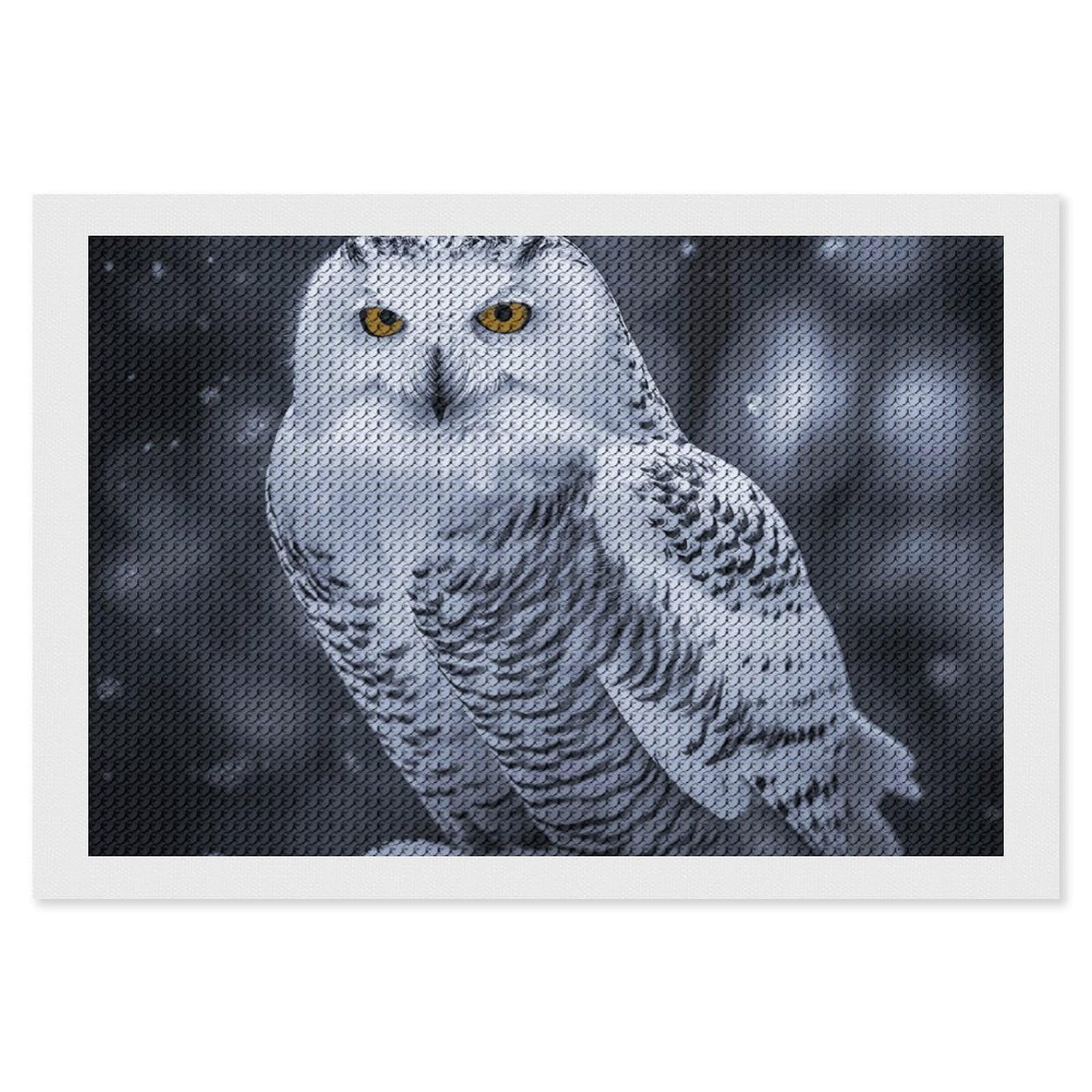 Arctic Owl Diamond Painting Kits for Adults, DIY 5D Diamond Painting Kits for Beginners, Round Full Drill Diamond Dots Paintings, Diamonds Pictures Gem Art for Crafts Home Decor 8"x12"