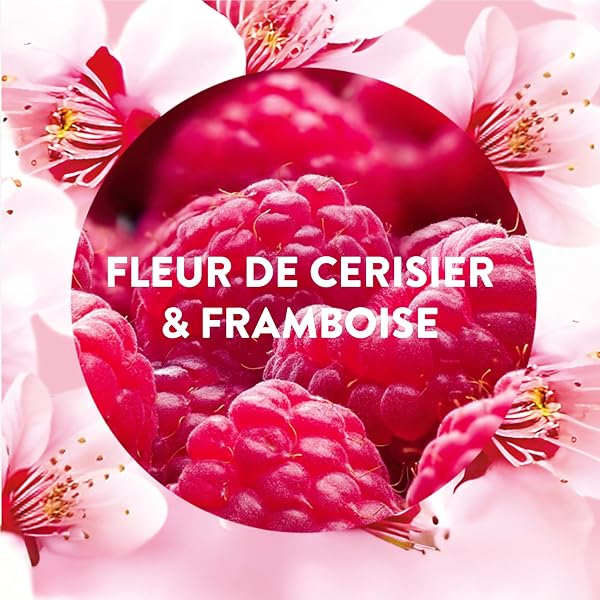 Air Wick Diffuseur d’huiles Essentielles Brume Parfumée + 2 Recharges 20ml Parfum Fleur de Cerisier et Framboise - 3