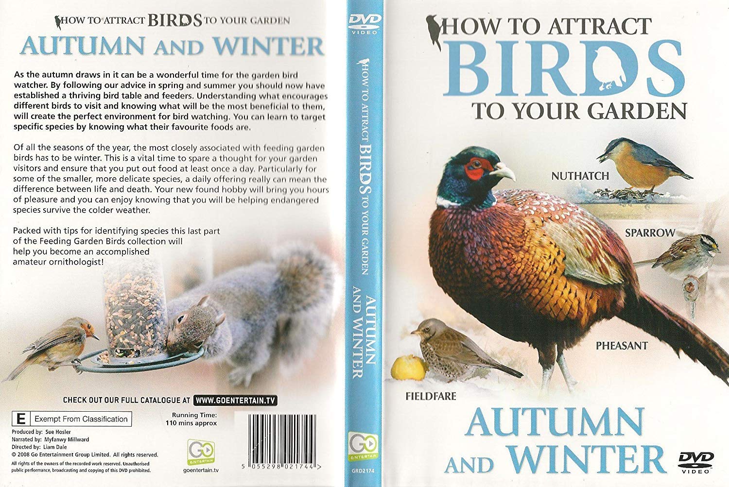 How to Attract Birds to Your Garden: Autumn and Winter