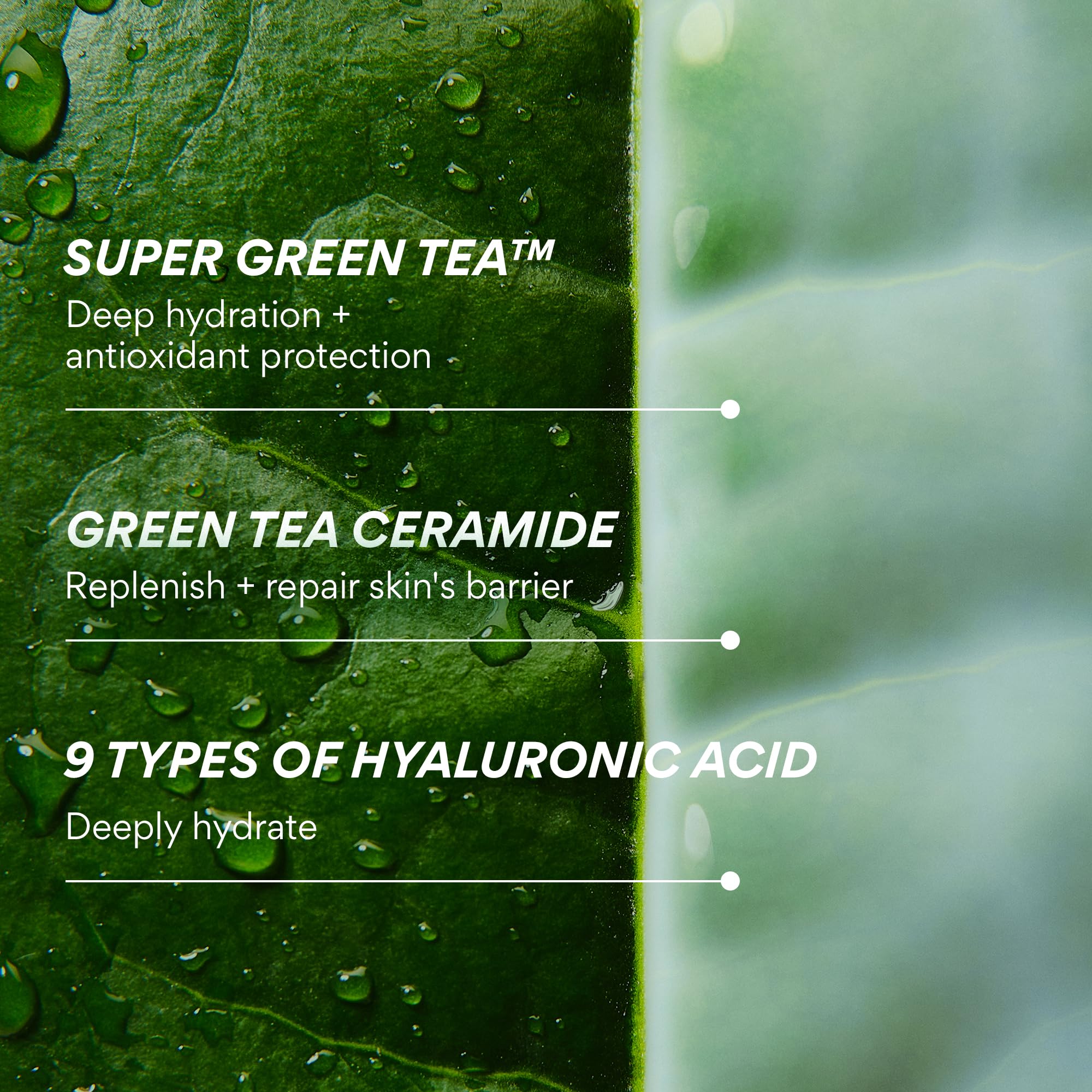 innisfree Green Tea Ceramide Milk, Hydrating & Lightweight Milky Toner for All Skin Types including Acne-Prone and Sensitive Skin, Available in Gift Set