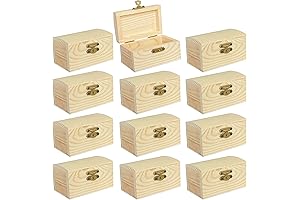 12-Piece Bulk Unfinished Wooden Treasure Box Assortment for DIY Crafts