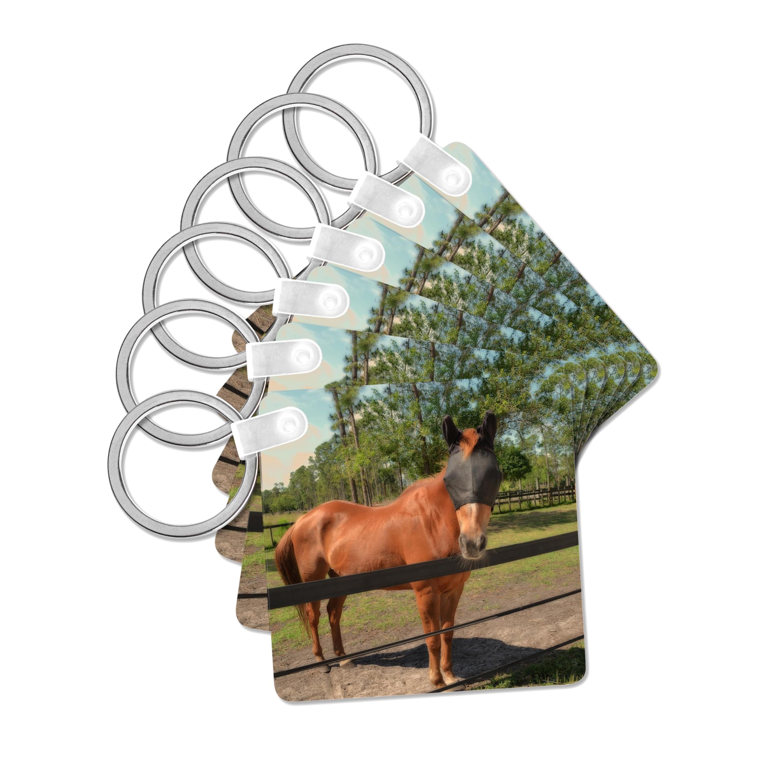 3dRose, horse in fly mask equine, set of 2 Key Chains
