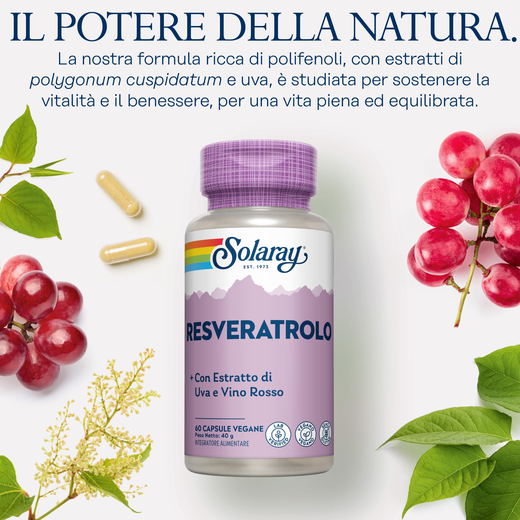 Solaray Resveratrolo Complesso - 60 Capsule Vegane - Integratore di Poligono Giapponese con Buccia e Semi d'Uva ed Estratti di Vino Rosso - Testato in Laboratorio