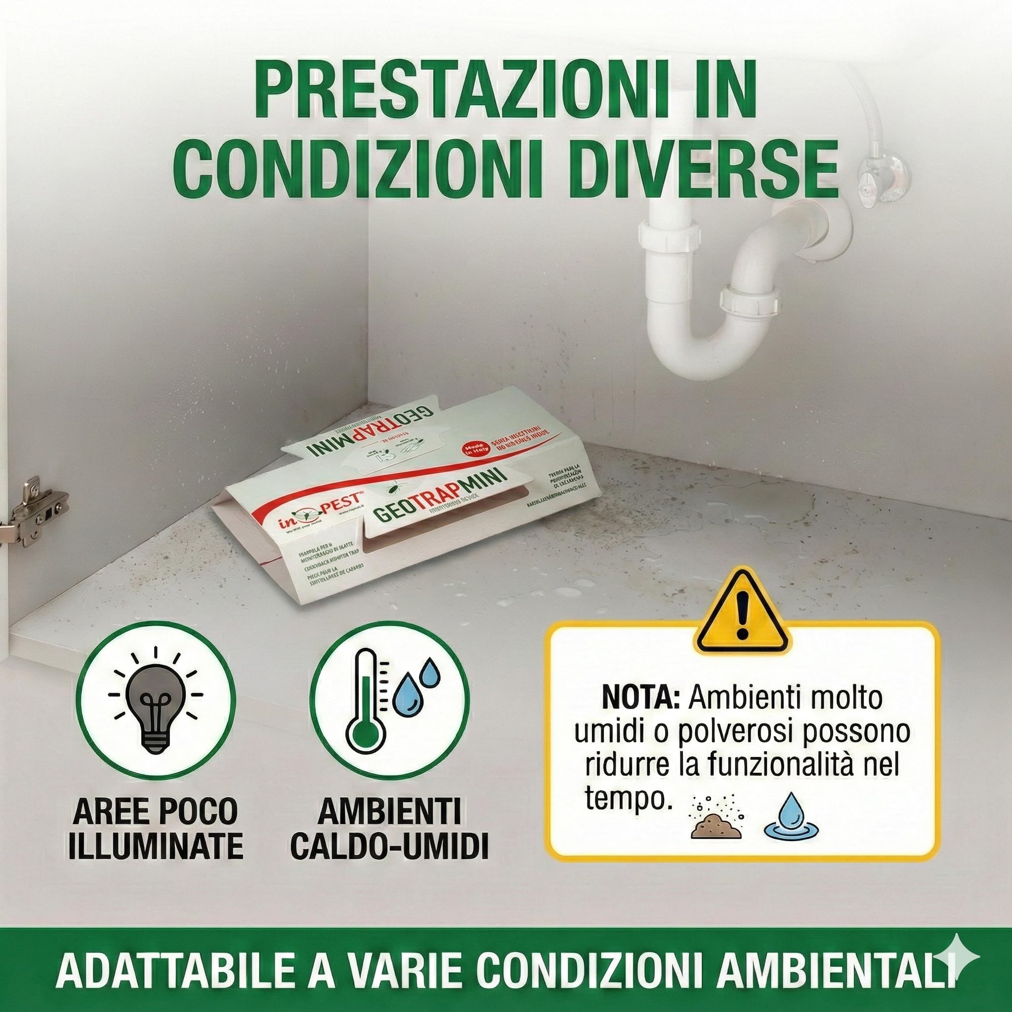 Geotrap – Trappole per Blatte da Interno - 20 Pezzi- Cartoncino Adesivo alla Liquirizia per Insetti Striscianti – Trappole Scarafaggi e Blatte con Gel Rosso Aromatizzato – Uso Interno