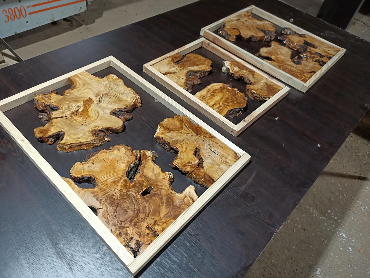 Live Edge Olive Root Slabs Set for DIY Epoxy Projects, Ready to be Resin Table, Cleared Wood Slabs for Epoxy Resin Projects 16”x24” (1" Thickness)