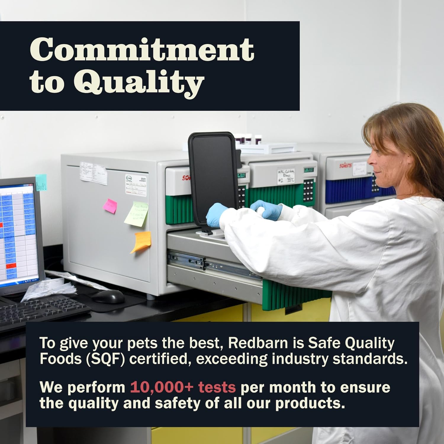 Redbarn Grain-Free Beef & Carrot Hearty Stew in Pumpkin Gravy Recipe Wet Dog Food, Adult Pups, for All Breeds, 12-oz Can (Case of 12)