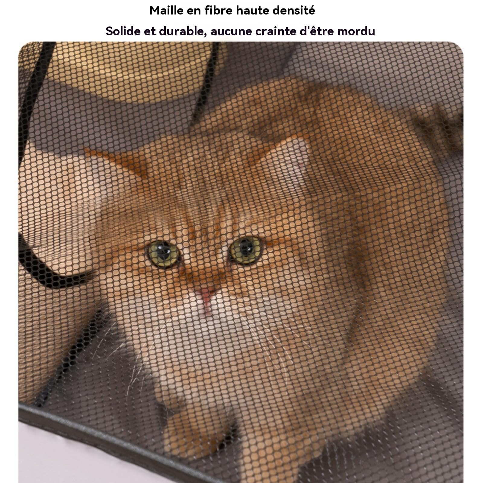 Parque al aire libre para gatos - Recinto para gatos - para exteriores - con diseño portátil - Casa de juegos interactiva con túnel - Accesorio portátil para mascotas para cachorros y pequeños