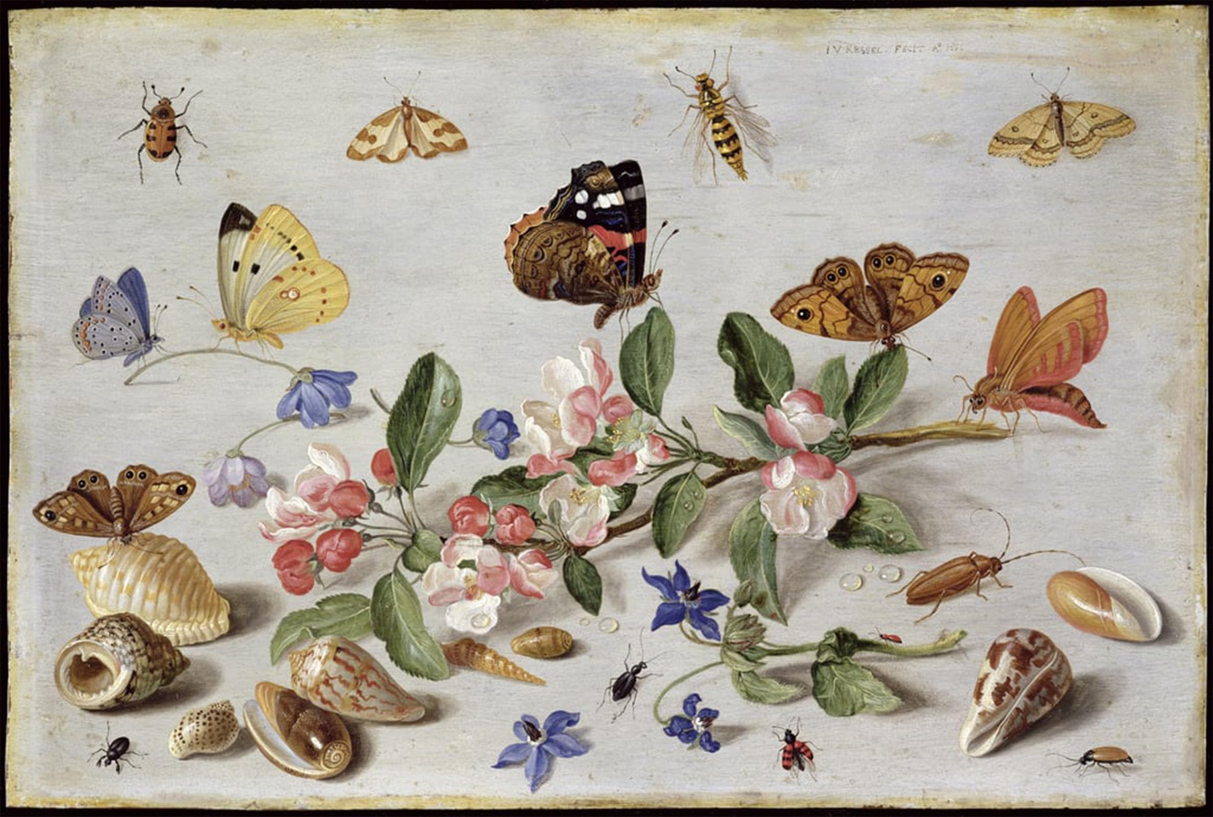 POSTERIIk Famous Modern Artwork Art Mural Insects by Jan Van Kessel the Elder Oil Paintings Pictures for Home Decor 60x90cm