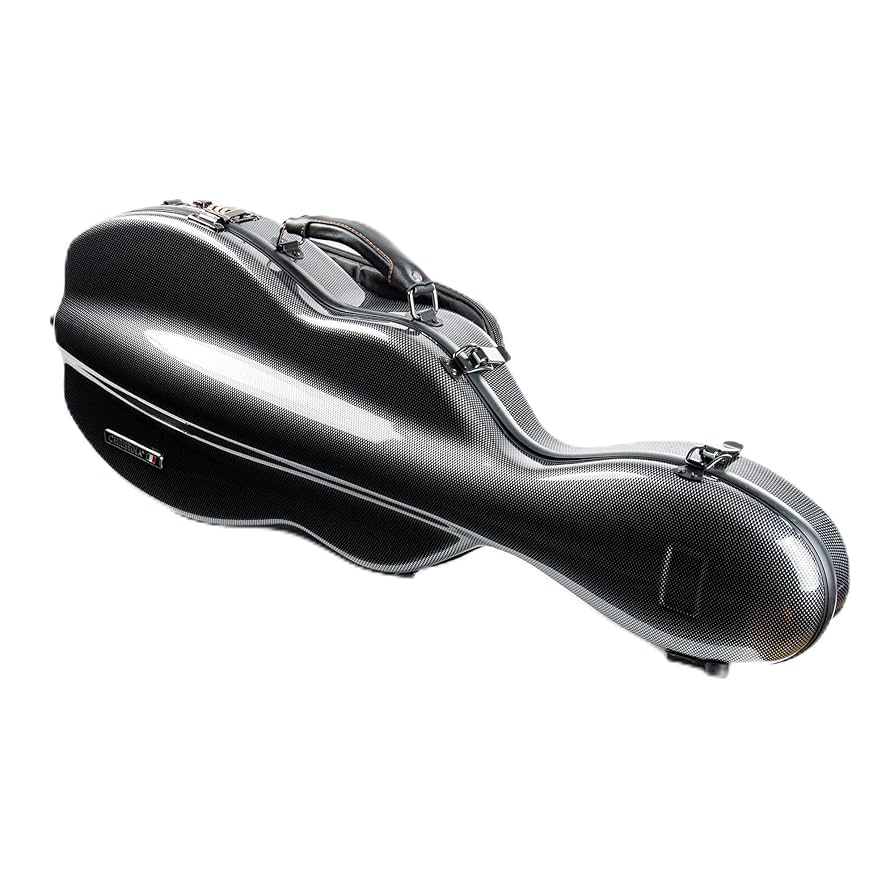 Amazon.com: Christina violin case 4/4 Full Size Violin case
