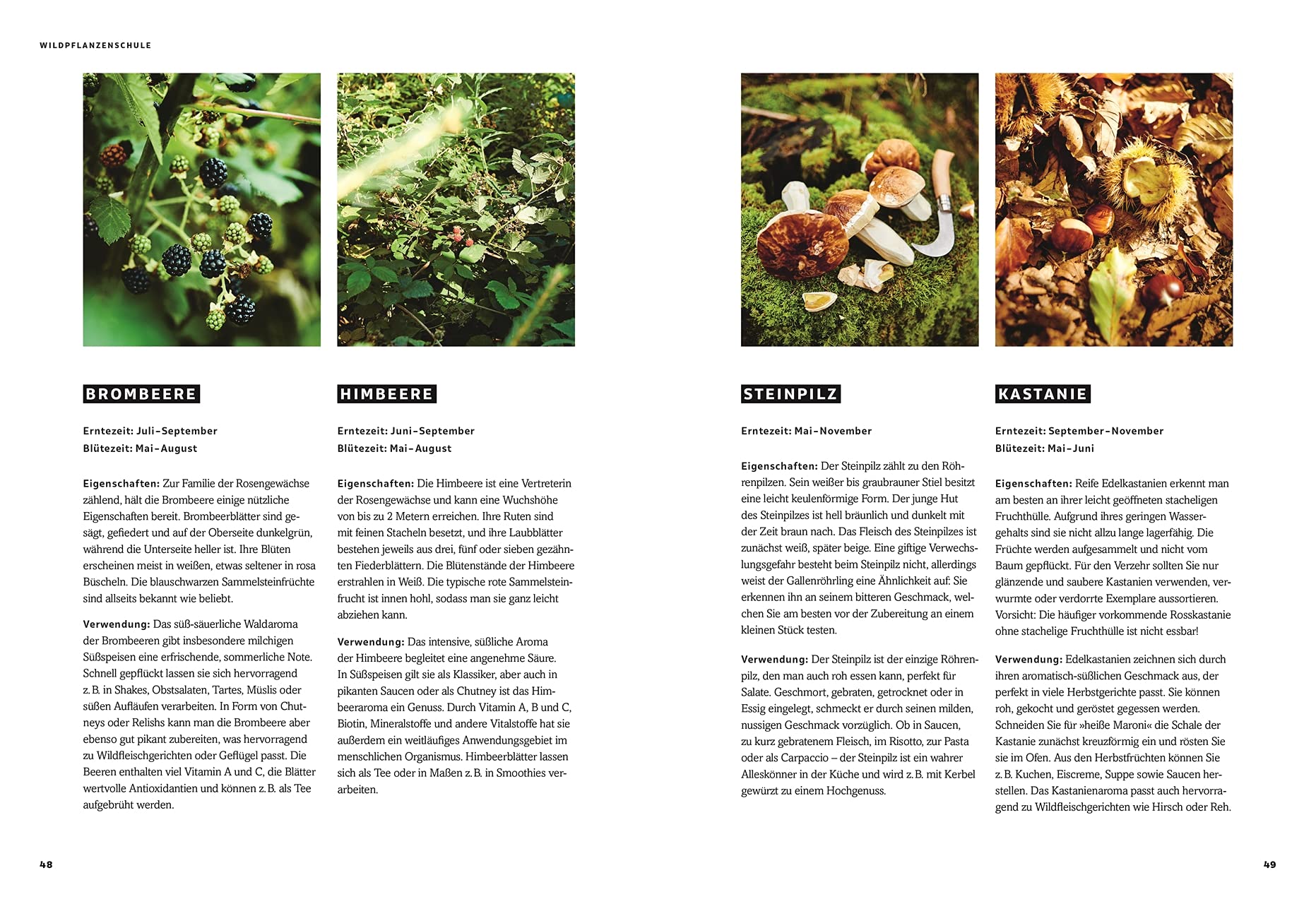 Wild – Wald – Genuss: Rezepte, Geschichten, Wissen. Vom Kochen und Jagen