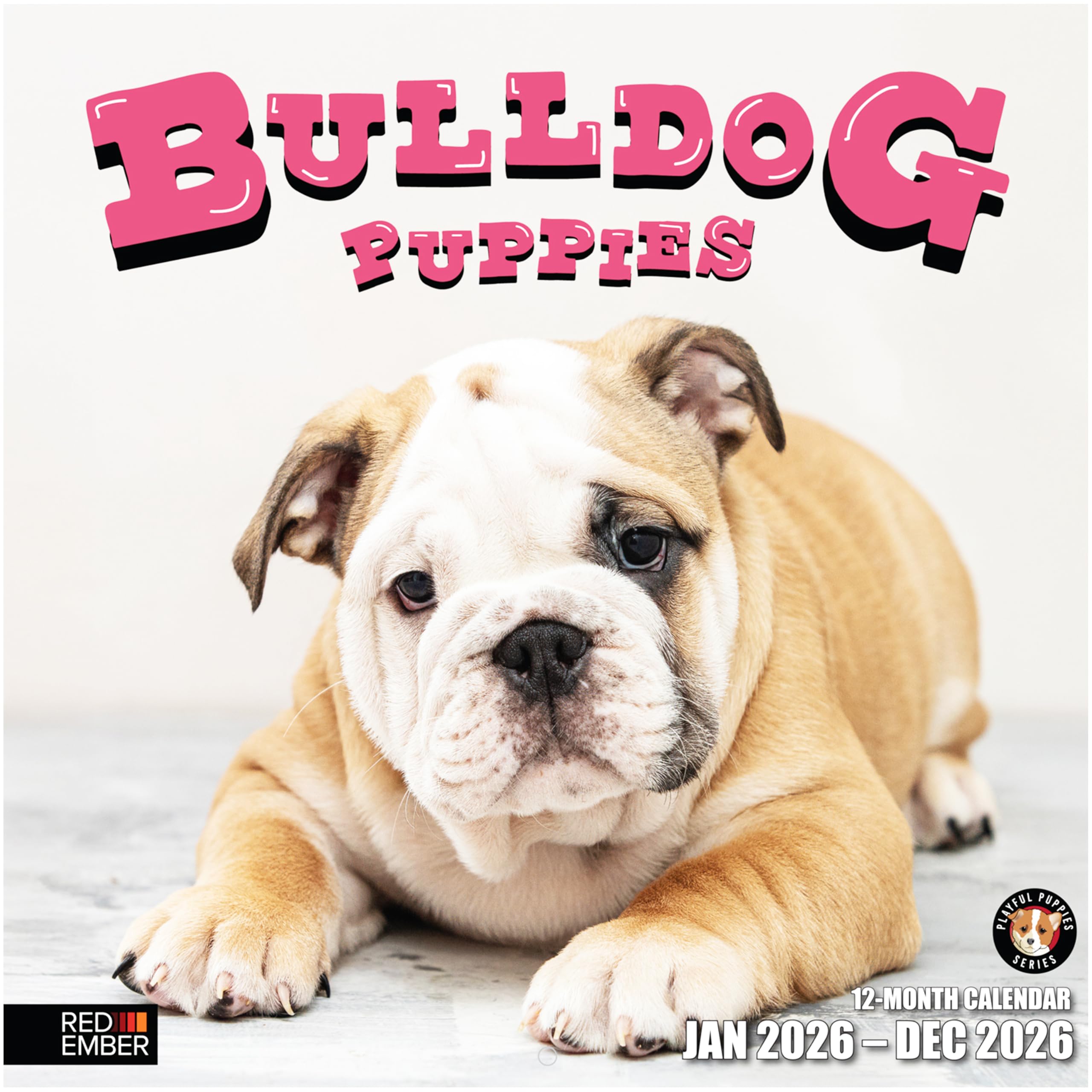 RED EMBER Bulldog Puppies 2026 Wall Calendar 12 Month | 12" x 24" Open | Thick & Sturdy Paper | Giftable | Calendar 2026 05 - Bulldog Puppies New 2026