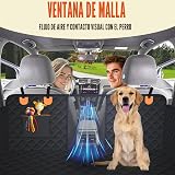 Ver la foto 4