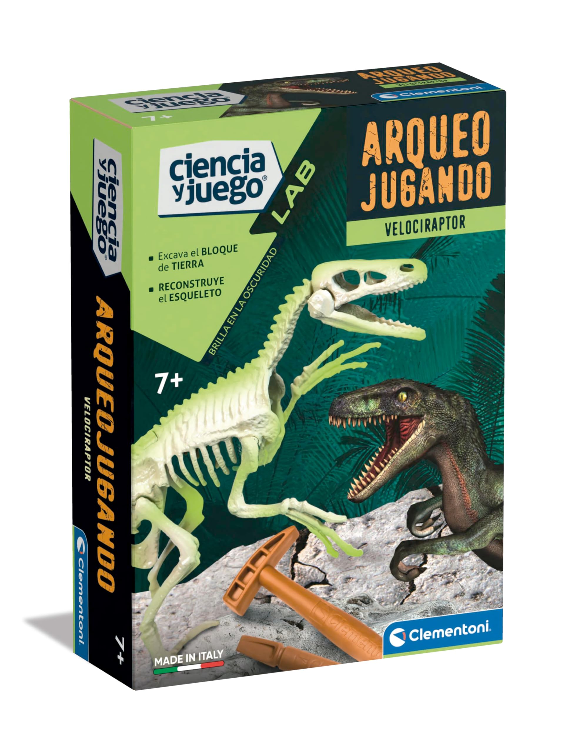 Clementoni 55539 Arqueojugando Velociraptor fosforescente Juego de Ciencias, para Montar tu Propio Dinosaurio fosforescente y Descubrir la Ciencia de la arqueología, A Partir de 7 años