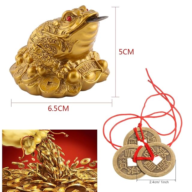 Foto 4 de 5 de Rana de dinero de la suerte, sapo Feng Shui y 5 juegos de monedas chinas de Feng Shui
