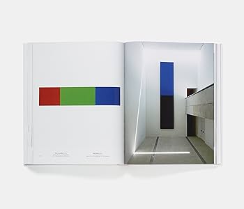 Amazon.com: Ellsworth Kelly: 9780714869476: Paik, Tricia: Books