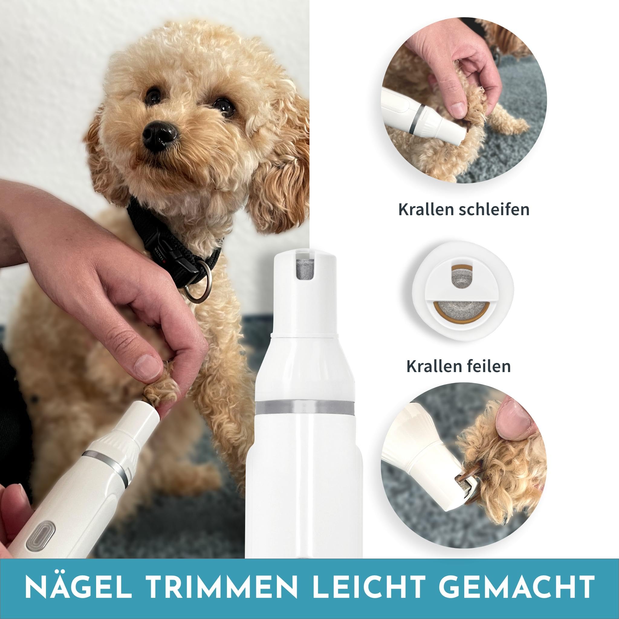Hafenbande 4in1 Tondeuse pour chiens, chats et petits animaux professionelle | poil long epais | accessoires de coupe et pour peignes | Étanche | Rechargeable