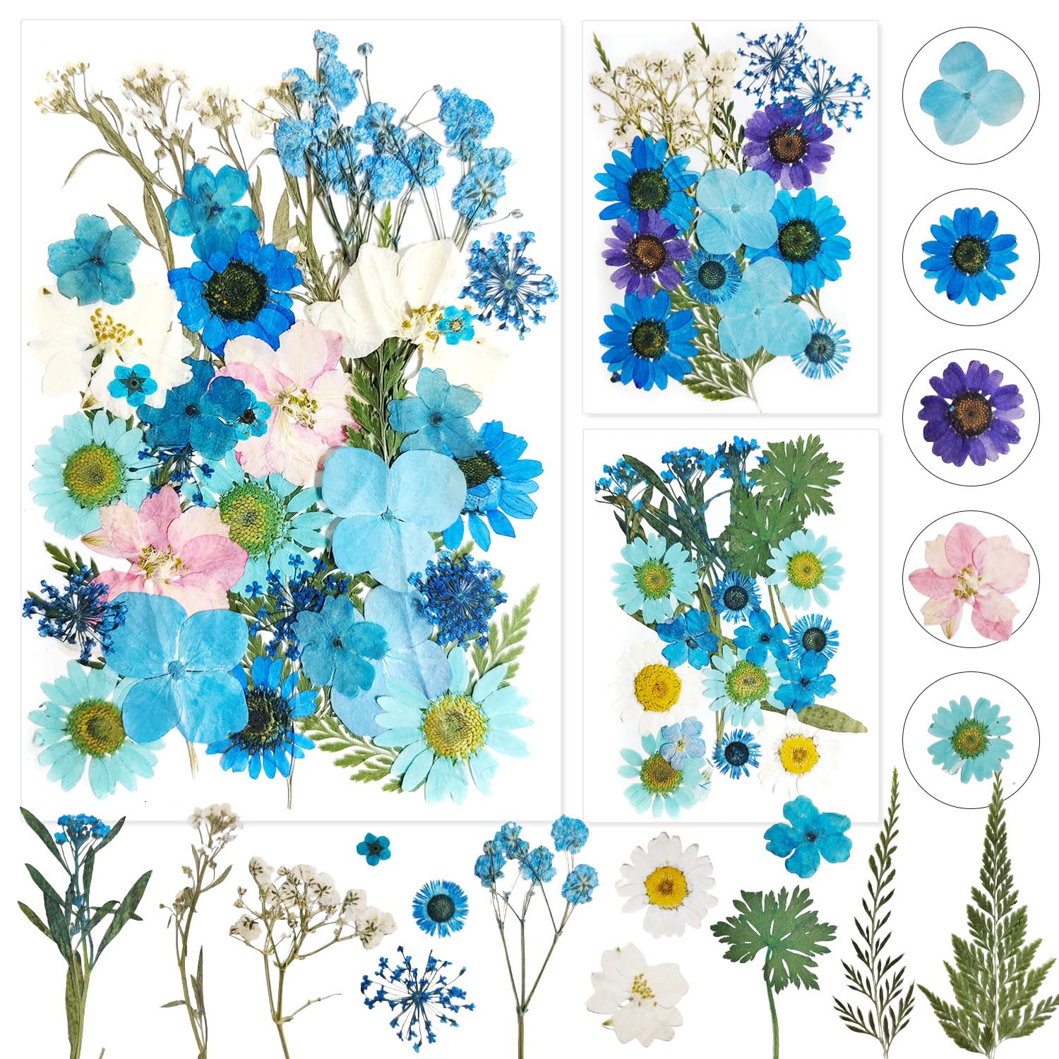 Flores Prensadas Flores Secas Prensadas Flores Prensadas Secas Naturales Flores Secas Manualidades Flores Secas Azul para álbumes de Recortes Velas de Bricolaje joyería Colgante artesanías