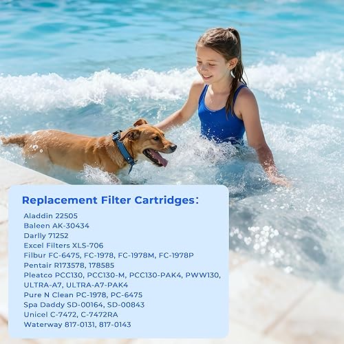 Miniatura 8 de Paquete de 4 cartuchos de filtro de piscina CCP520, compatibles con Pentair Clean & Clear Plus 520, 160332, R173578, 178585, Pleatco PCC130,