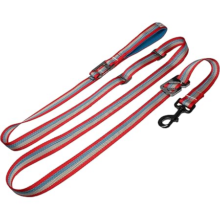 kurgo ascender leash