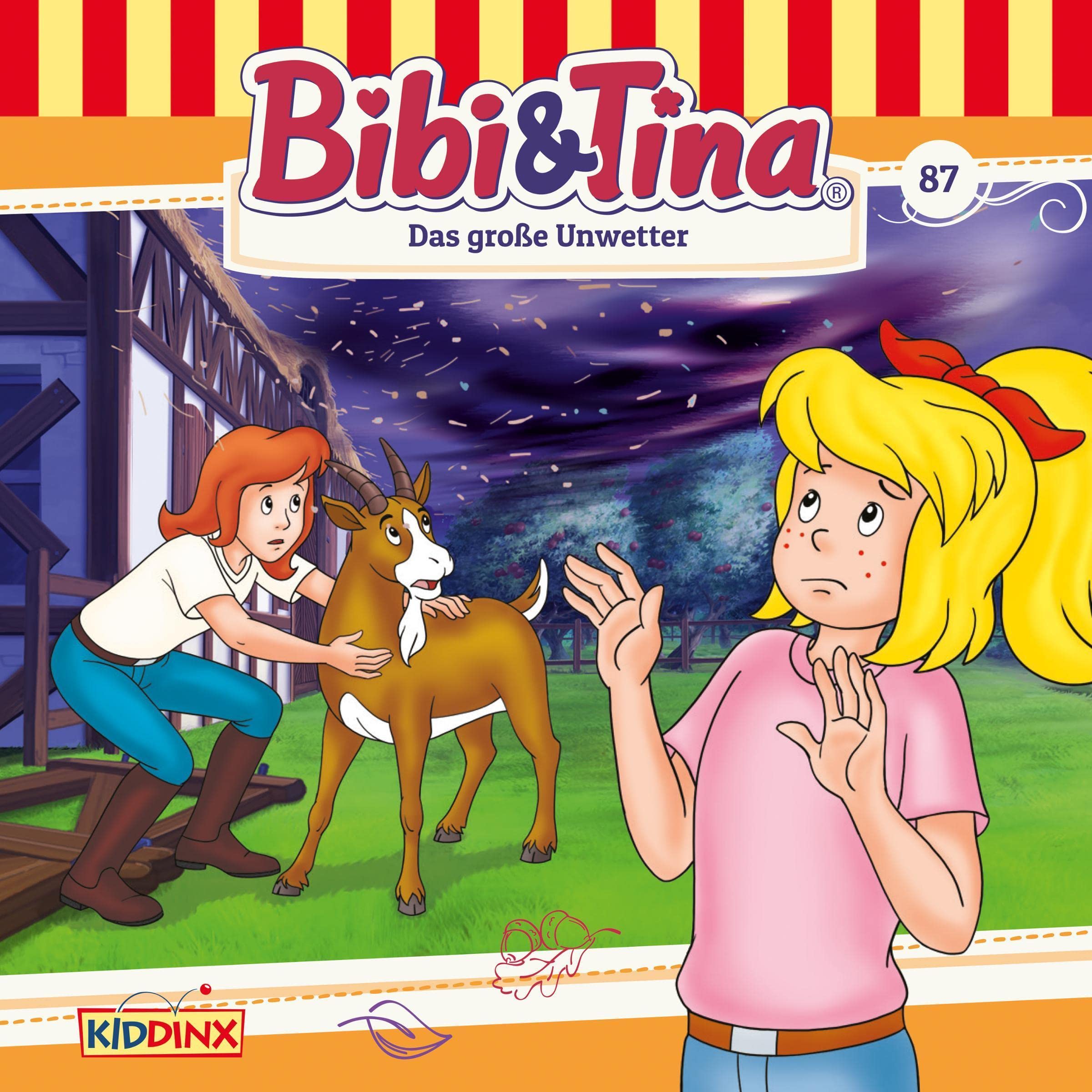 Cover art for Das große Unwetter