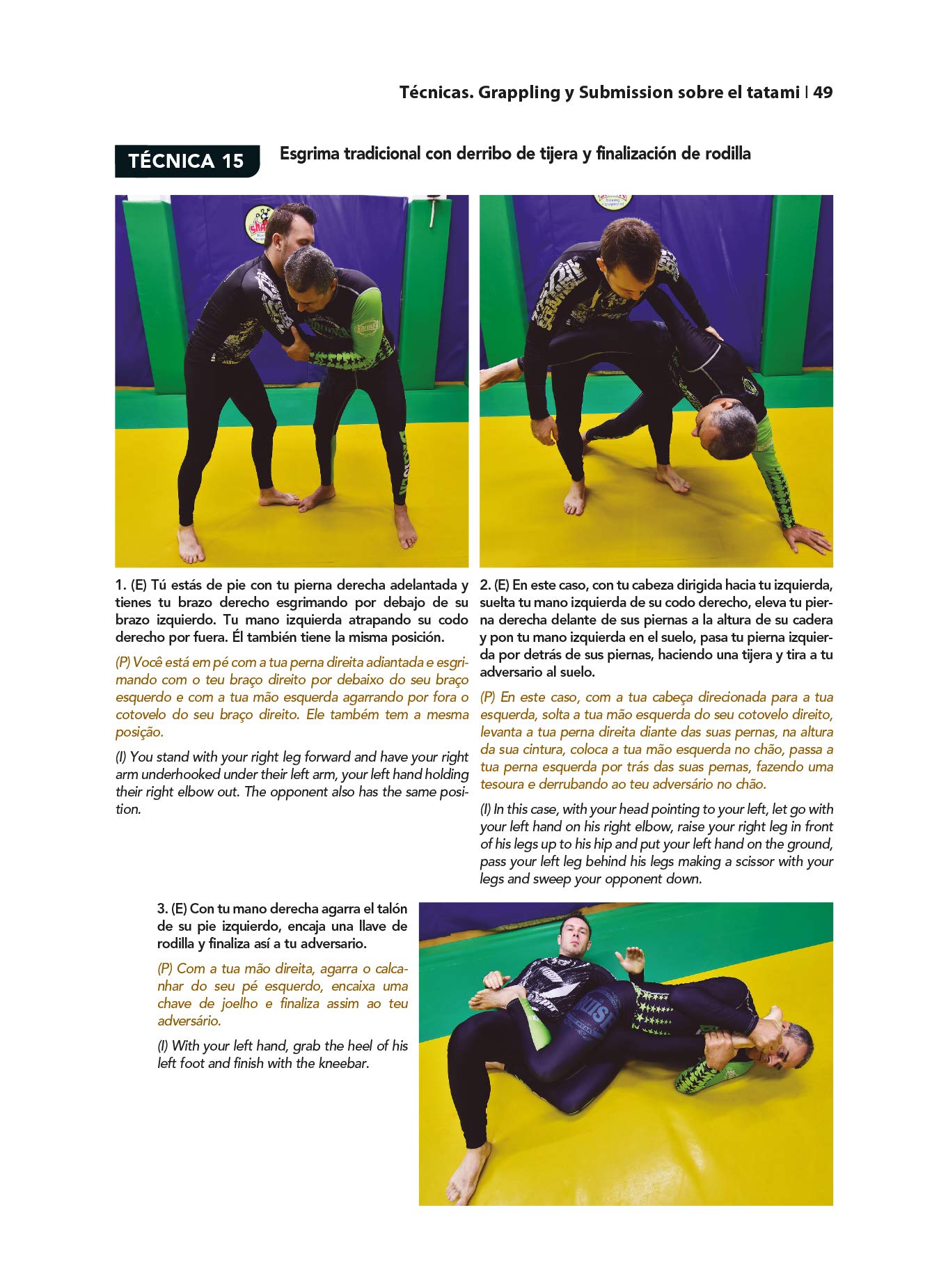 Grappling y Submission (curso básico) (ARTES MARCIALES)