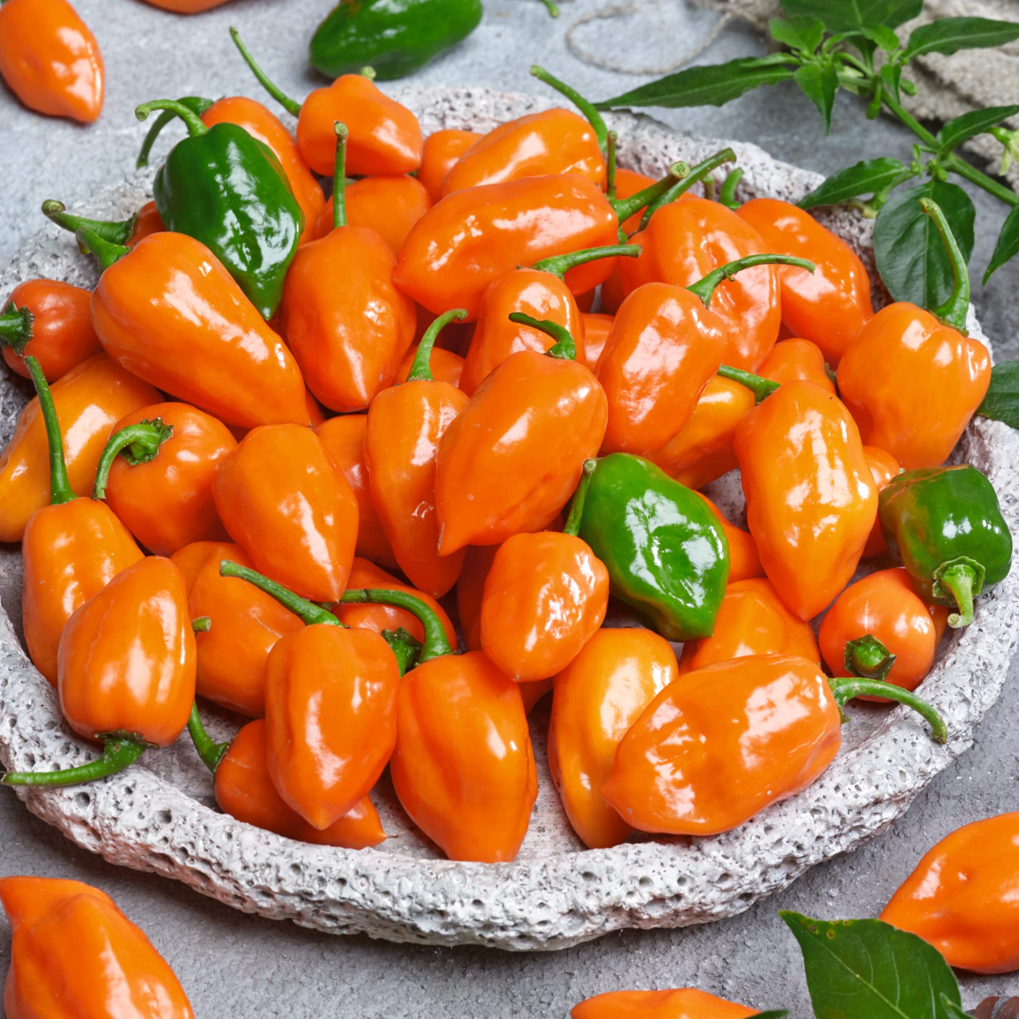 Amazon.com : Cienfuegos - Orange F1 Hybrid Hot Pepper Seeds - 300