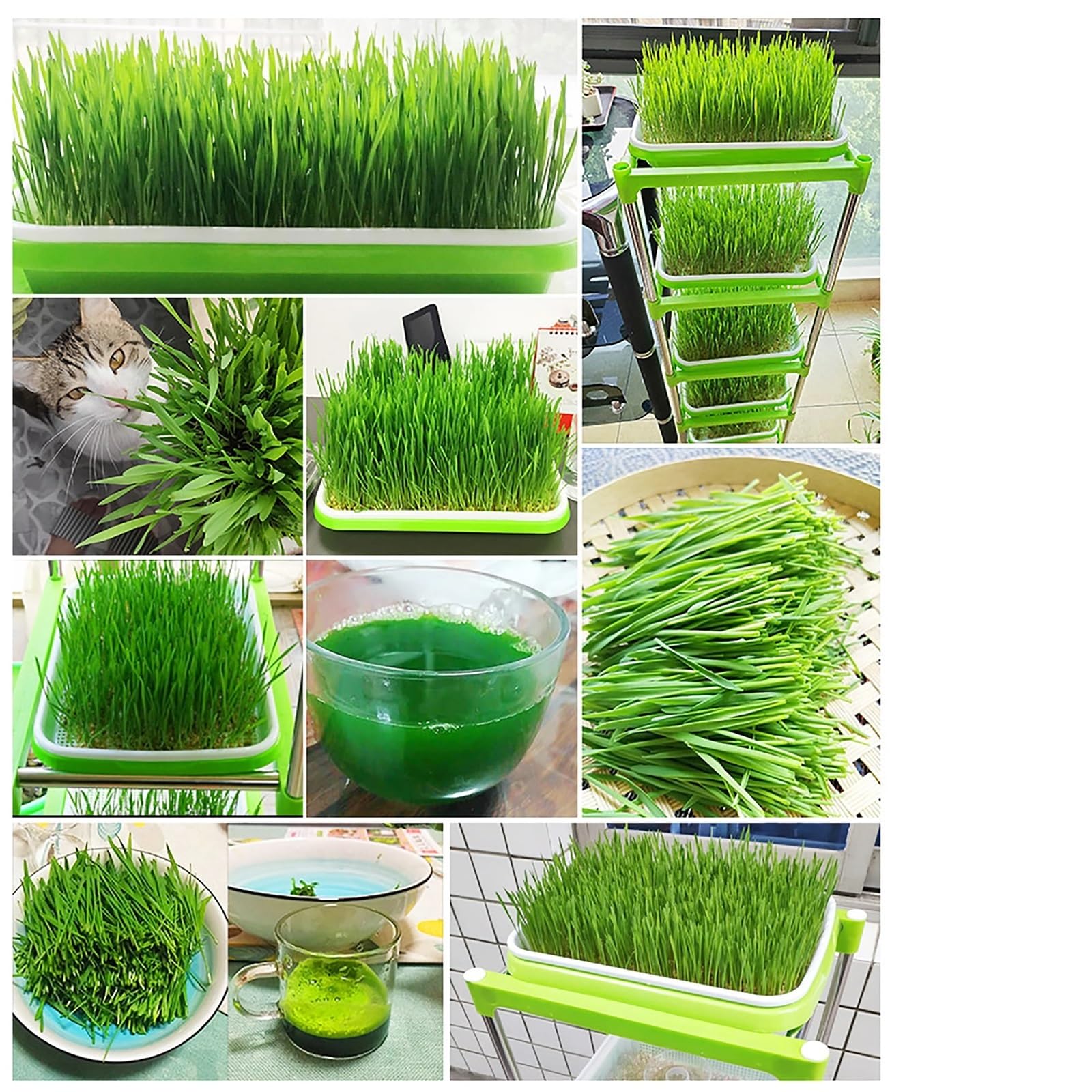 Semillero Bandeja de germinación Semillas, Doble Capa, Cultivo Frijoles sin Suelo, Plato vivero hidropónico, Maceta, Herramientas for el hogar y jardín para Plantas(Color7)