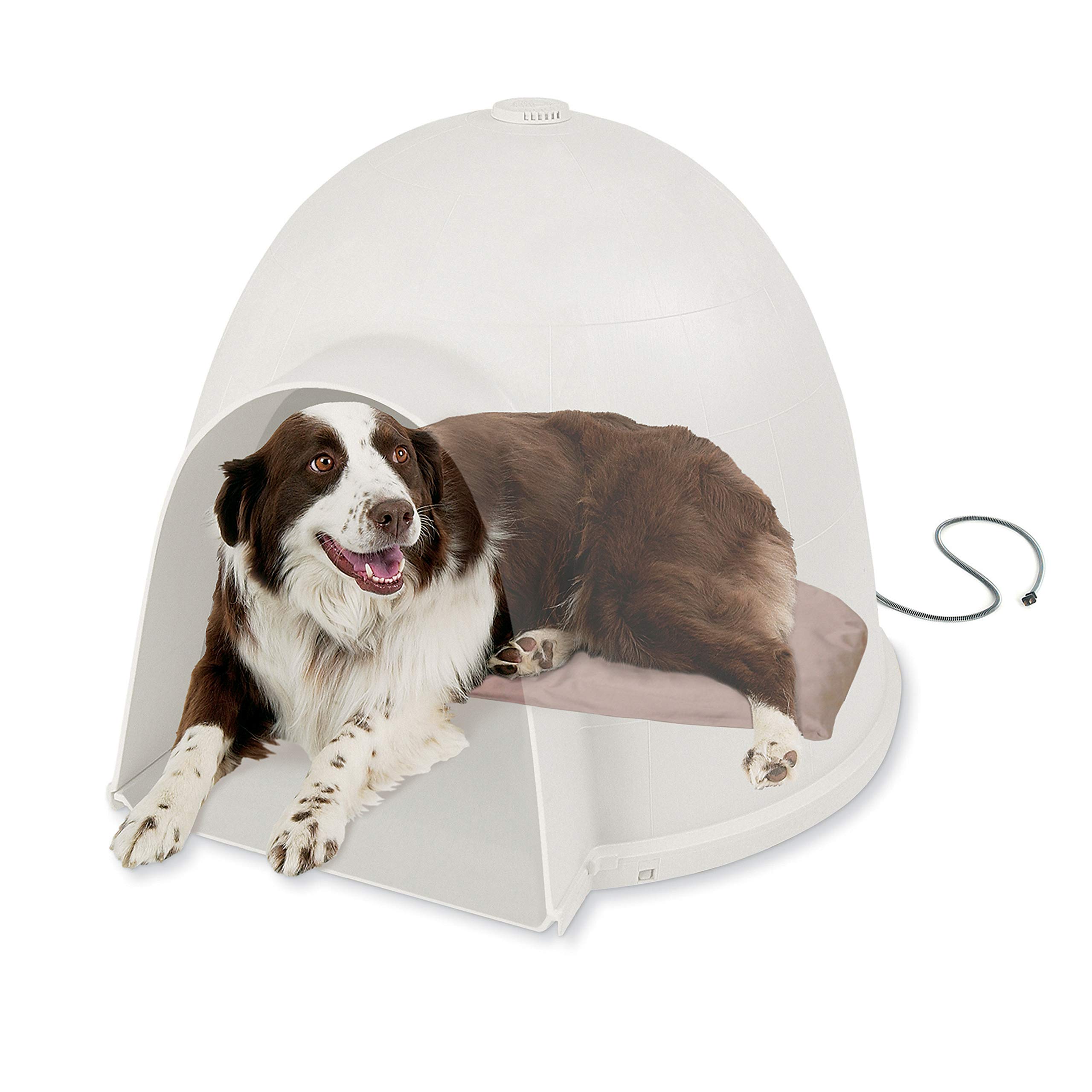 dog igloos amazon
