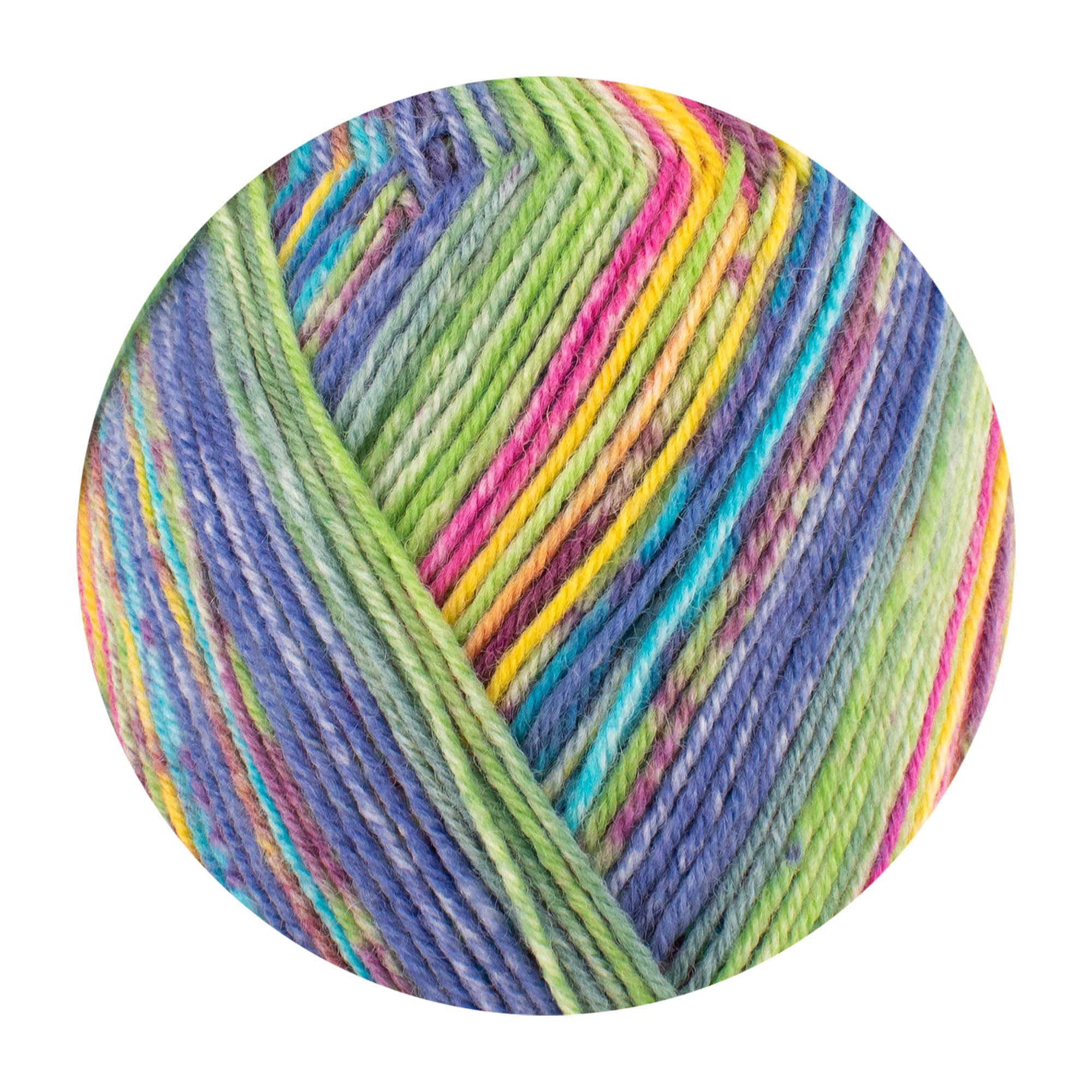 Amazon | 毛糸 ソックヤーン Opal オパール KFS気仙沼動物園 4ply（4本