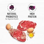 Beyond Simply Natural Dry Dog Food, Farm-Raised Beef, Barley & Free Run Egg - 1.67 kg Bag