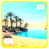 サハラ・オアシス・カーム – 穏やかな砂漠の砂丘と優しい風の音、スリープタイマー付き