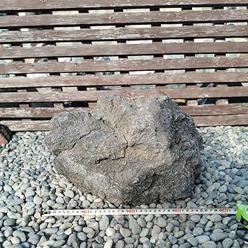 Amazon.co.jp: 富士溶岩石34.2キロ 庭石鑑賞石石盆石水石灯籠庭