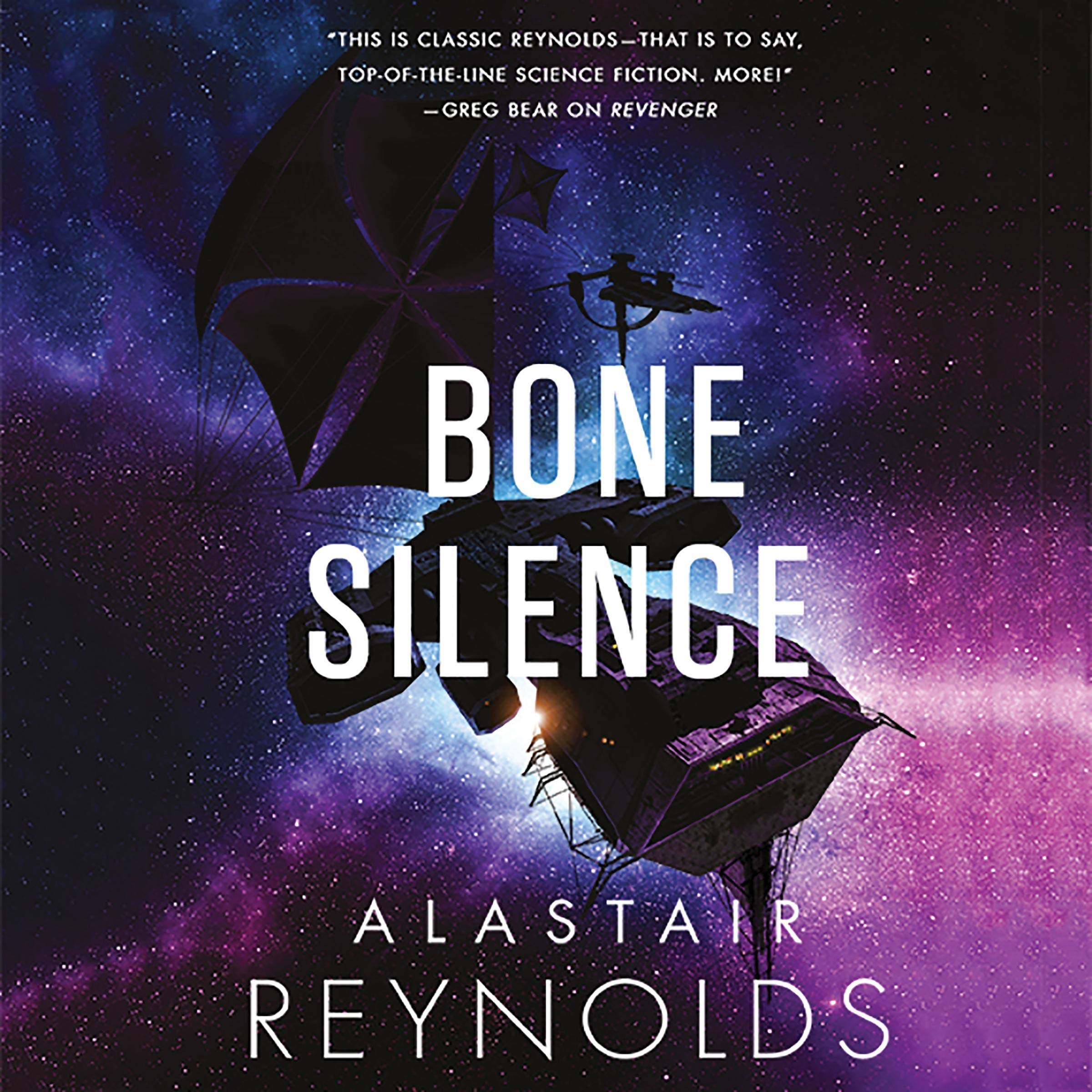Cover art for Bone Silence