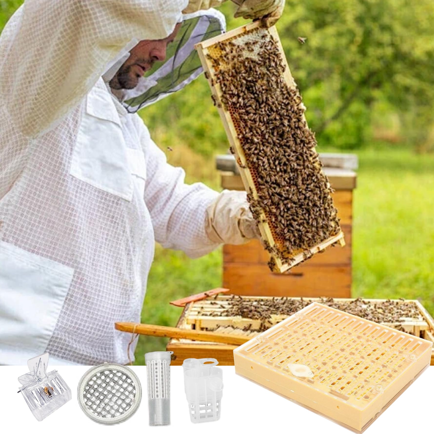 Bienenzucht-Starter-Set, Königin-Aufzucht-Set, komplettes Bienenzucht-Starter-, einschließlich Königin-Aufzuchtbox, Zellbechern und beweglichem Veredelungswerkzeug-Ausschluss