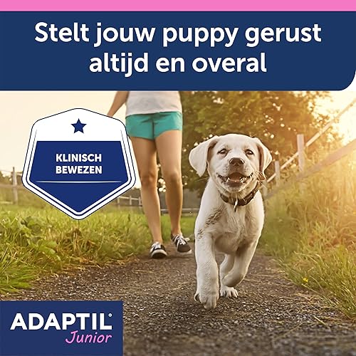 Miniatura 7 de ADAPTIL Collar calmante de feromonas para cachorros junior