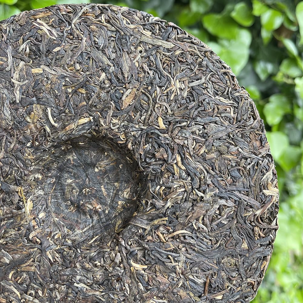 Tè Puer Sheng (crudo) Bulang Treasure • Raccolto del 2020 • Confezione da 357g • Tè cinese di qualità • TEA SOUL