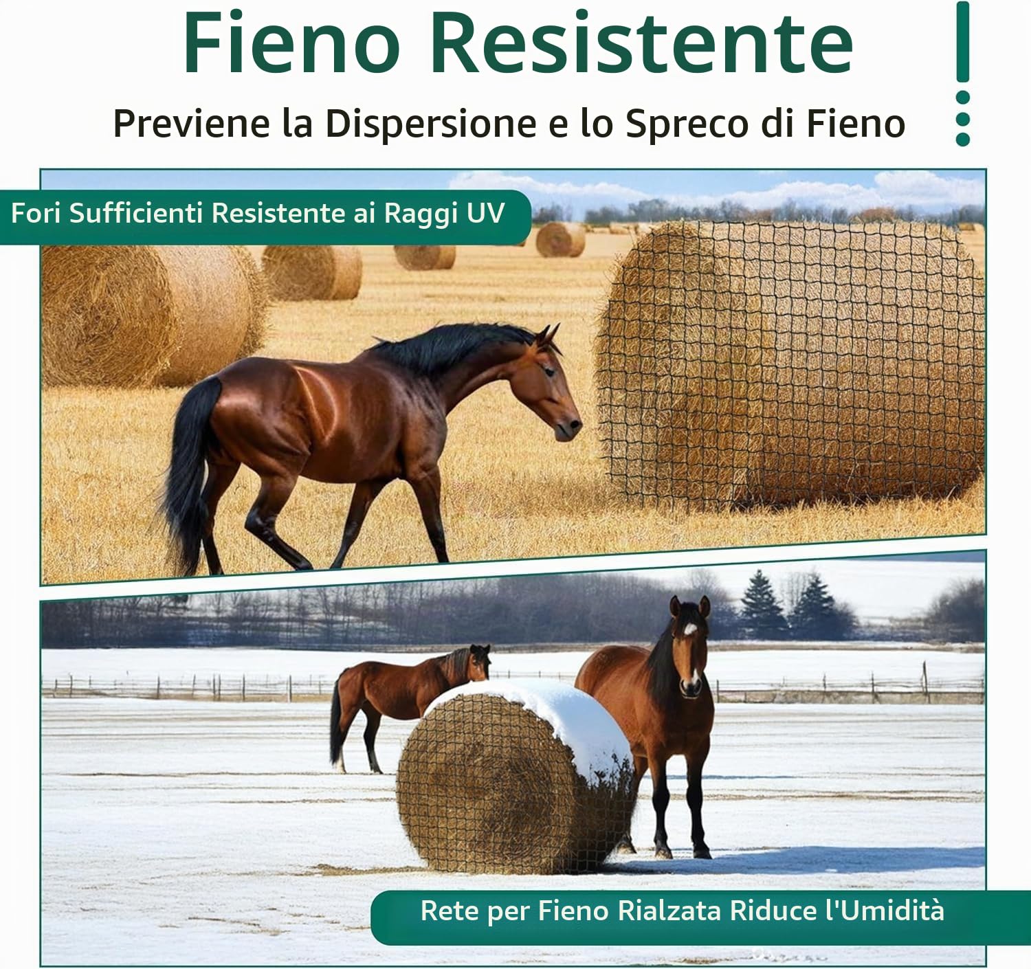 Rete per Fieno 150x150cm in PE - Sacco Alimentazione Lenta per Cavalli, Pecore, Camelidi, Adatto Ballerine Rotonde/Carrate, Resistente UV e Antigelo