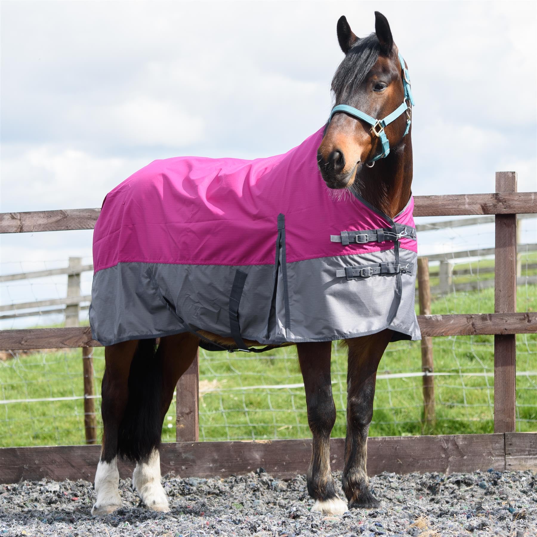 Outdoor Winterdecke Turnout 100% Wasserdicht 600D 100G Fulling - Raspberry/Grau 155cm
