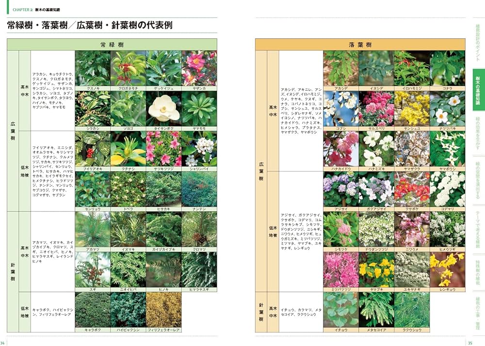 世界で一番くわしい住宅用植栽 最新版 | 山崎 誠子 |本 | 通販 | Amazon 世界で一番くわしい住宅用植栽 最新版 | 山崎 誠子 |本 | 通販 | Amazon